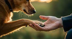 All Our Relations