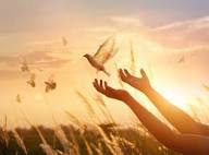 Preparing the Ground