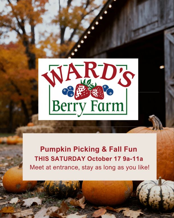 Wards Berry Farm